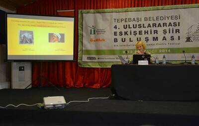 YUNUS EMRE HALK İÇİN YAZDI